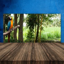 Crédence de cuisine en verre