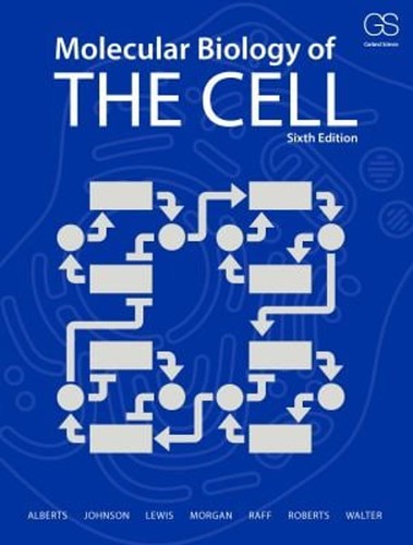 Biologie moléculaire la - moléculaire, de