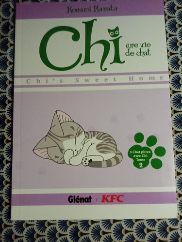 Rare chi une vie chat - une, de