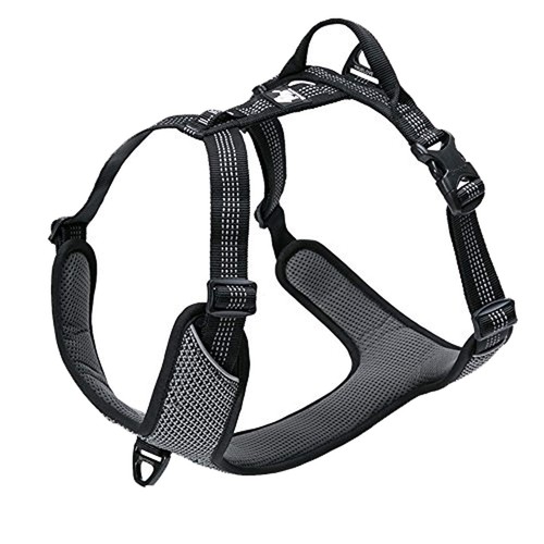 Harnais pour chien réglable - harnais,