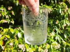 Verre en cristal souvenir