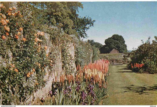 Carte postale royaume - carte,