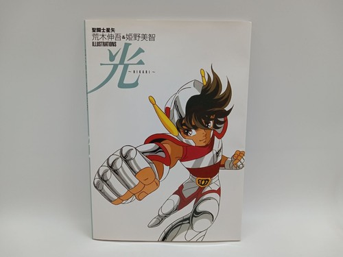 Saint seiya hikari - saint,