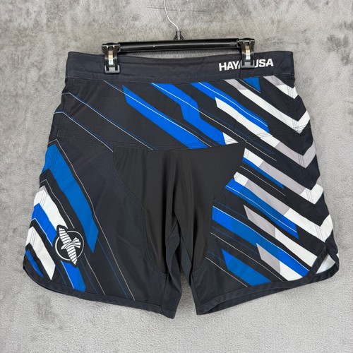 Hayabusa mma fight - mma,