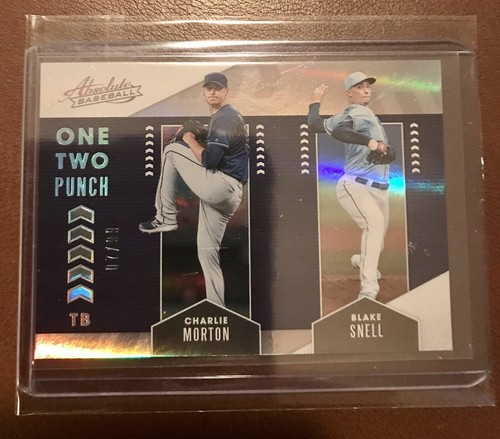Charlie morton blake snell - blake,