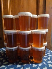 Miel de Tilleul 2025