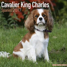 Calendrier 2017 - CAVALIER
