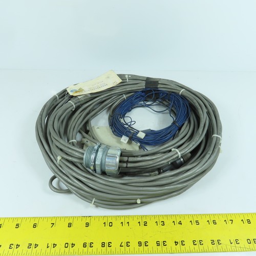 Gbf080104 00004 testeur - gbf080104-00004,