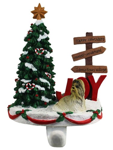 Porte stocking shih - shih, tzu