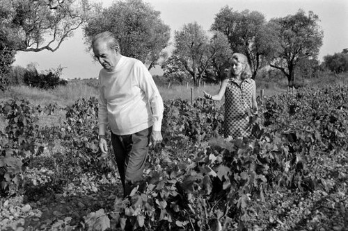 Novelist marcel pagnol and his - marcel,