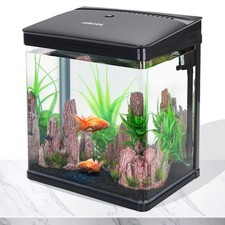 Aquarium en Verre avec