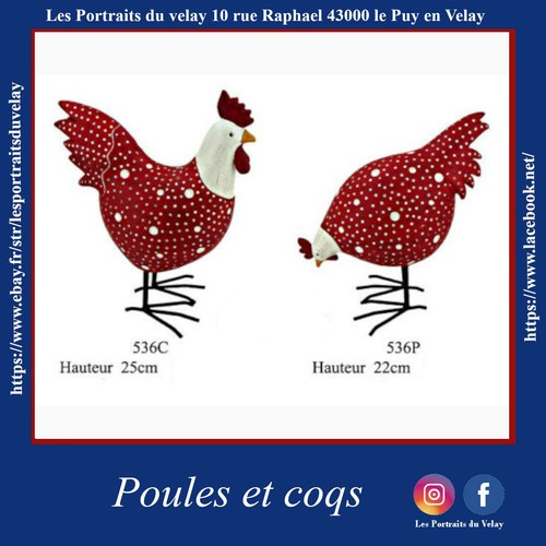 Poules coqs - poules, et