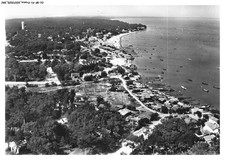 CU-BFP1-0497-33 - CAP-FERRET -