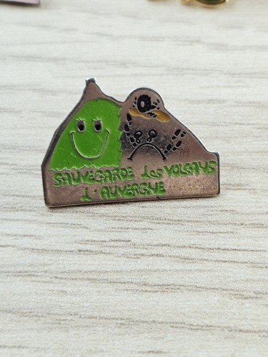 Pin pins sauvegarde - pin's,