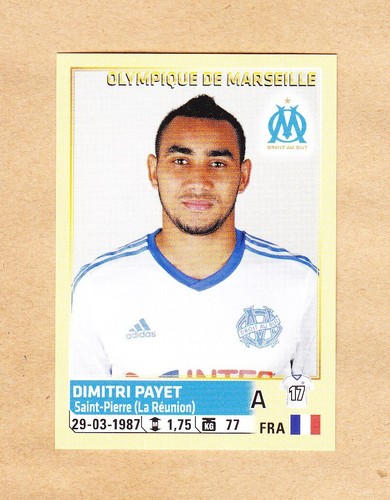 Panini foot 2014 15 - panini,