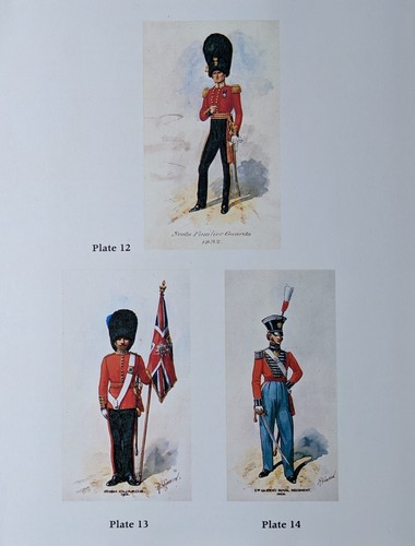 Militaire armée britannique - militaire,