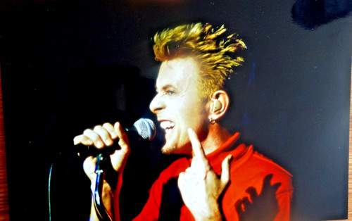 David bowie photos 20x30cm - david,