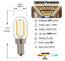 Ampoule Verre 2 LED A Filament