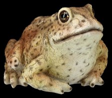 Figurine de Jardin Grenouille - Crapaud - HotAnt Décoration Amphibiens Réaliste