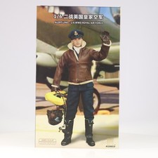 Alert Line 1/6 WWII Royal Air
