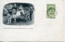 CPA BELGIQUE / ATTELAGE DE CHIENS / LAITIERES FLAMANDES SE RANDANT LA VILLE