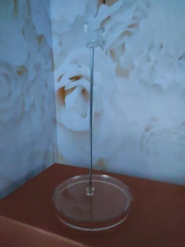 Socle transparent pour - transparent, poupée