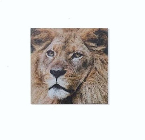 Cadre toile tableau lion - tableau,