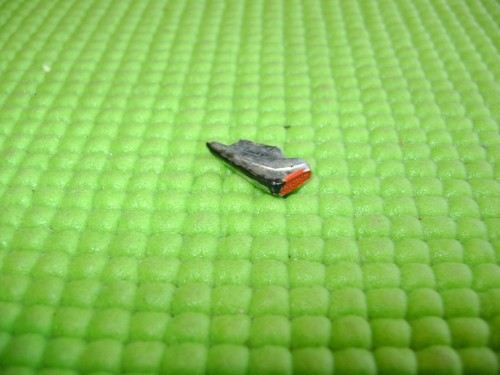 Gege citroen clignotant - ds,
