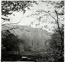 FRANCE Sous-Bois Arbres Paysage Photo c1910 Plaque de verre Vintage §fn7