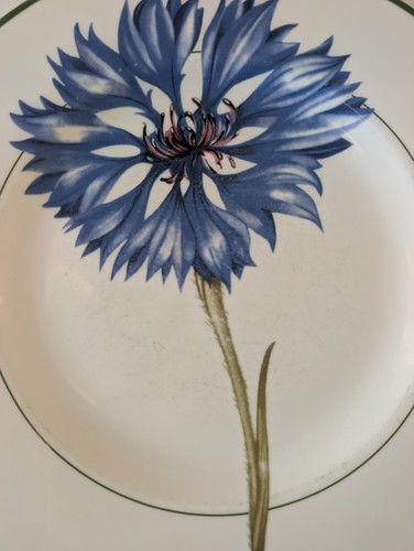 Assiette plate villeroy boch - assiette,