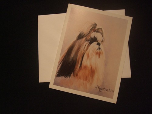 Lot cartes enveloppes - lot,