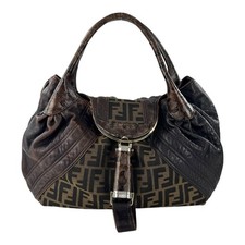 Fendi Zucca and Tortoiseshell