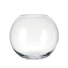 Lot bocal sable plante nourriture poisson