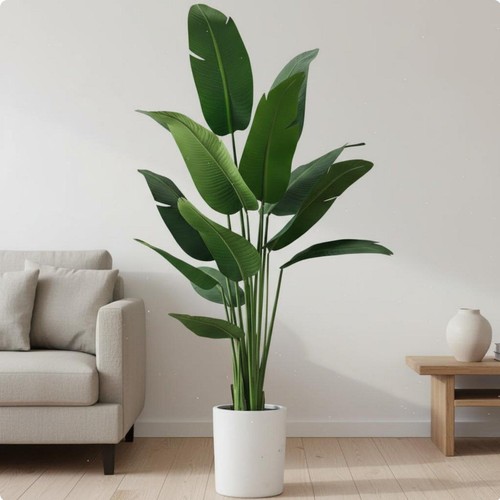 Verte intérieur design - verte, d'intérieur