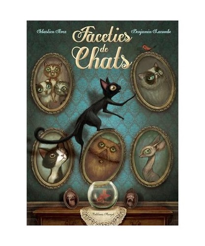 Facéties chat benjamin - facéties, chat,