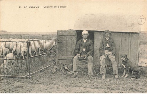 Mikil 0337 beauce cabane - 28,