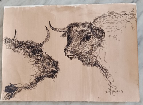 Tauromachie dessin étude - tauromachie,