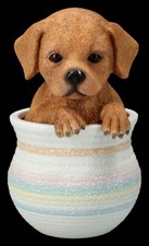 Chiens Figurine - Labrador Dans Casserole - Cadeau Surgénérateur de Race Déco H