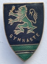 Broche émaillée épingle