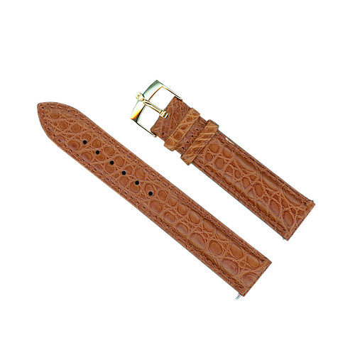 Véritable alligator marron - alligator,
