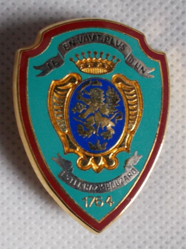 Insigne régiment de - insigne,