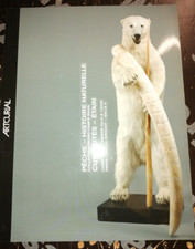 CATALOGUE DE VENTE ARTCURIAL