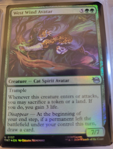 Holo foil west wind avatar - foil,