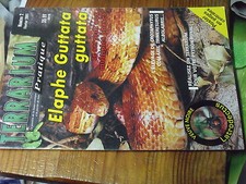 4µ? Revue Terrarium pratique