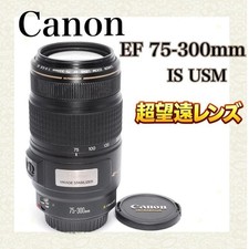 Objectif Canon EF 75-300 mm