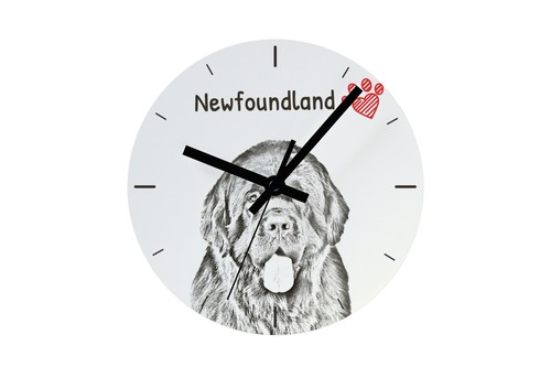 Chien terre neuve - de, terre-neuve