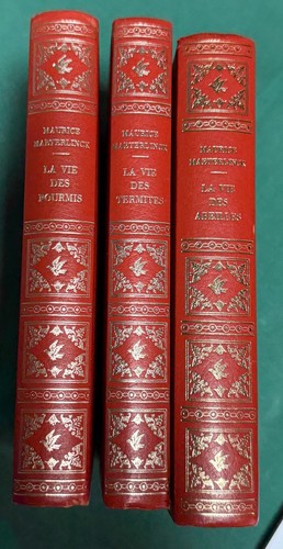 Vie des abeilles la - la,
