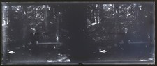 Homme dans un bois c1920 Photo NEGATIVE Stereo Plaque de Verre Vintage V39nL7