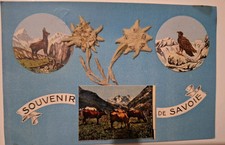 Carte Postale / CPA SOUVENIR