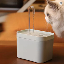 Fontaine à eau pour chat